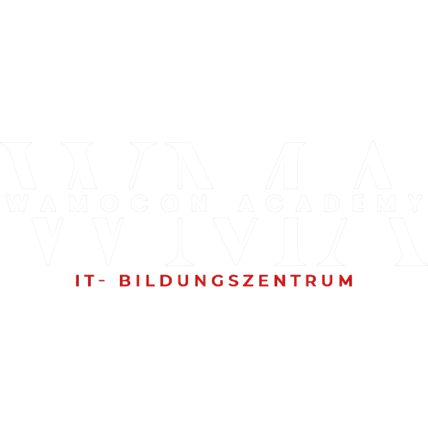 WAMOCON Academy